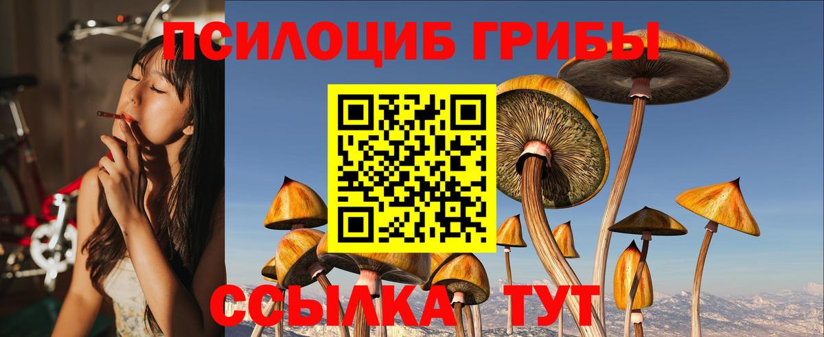 Псилоцибиновые грибы Psilocybine cubensis  Вход с VPN  Партизанск  Галлюциногенные грибы мухоморы 