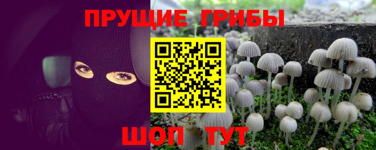 Псилоцибиновые грибы Magic Shrooms Партизанск